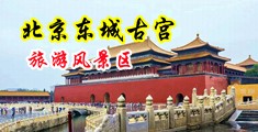 黄色插逼视频网站免费中国北京-东城古宫旅游风景区